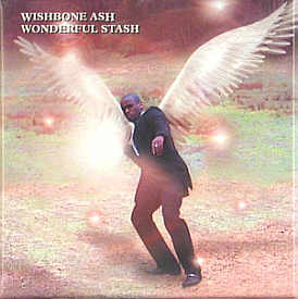 [Wonderful Stash box cover art]