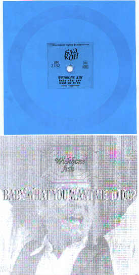 [russian flexi disc]