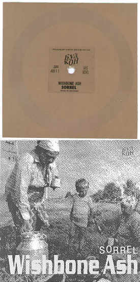 [russian flexi disc]